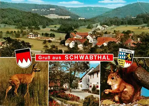 AK / Ansichtskarte 73936730 Schwabthal Panorama Reh Ortsmotiv Eichhoernchen