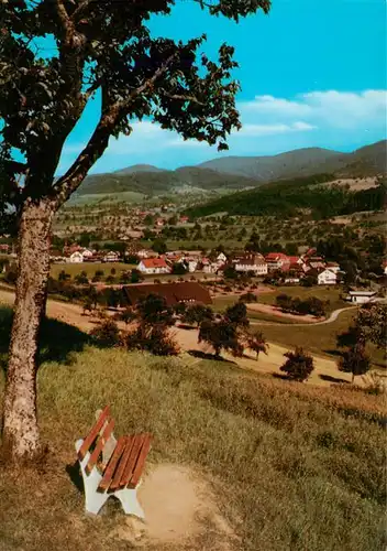 AK / Ansichtskarte  Zell_Harmersbach Panorama