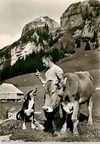 AK / Ansichtskarte  Landwirtschaft Hund Kuh Schweiz