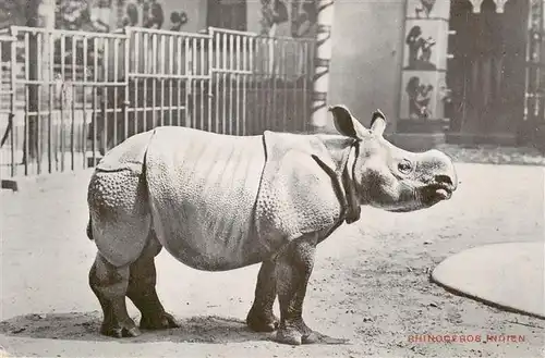 AK / Ansichtskarte 73936833 Zoo_Gardin_Zoologique-- Jardin Zoologique dÁnvers Rhinoceros Indien