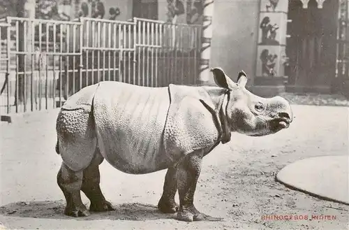 AK / Ansichtskarte  Zoo_Gardin_Zoologique-- Jardin Zoologique dÁnvers Rhinoceros Indien