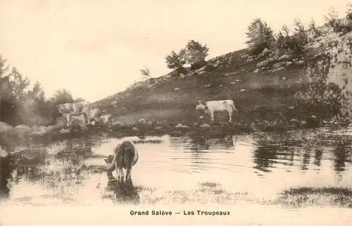 AK / Ansichtskarte  Landwirtschaft Grand Saleve Les Troupeaux