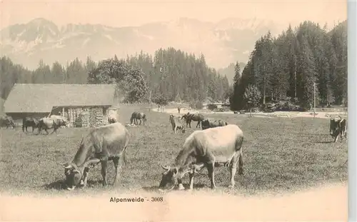 AK / Ansichtskarte 73936870 Landwirtschaft Alpenweide Kuhe