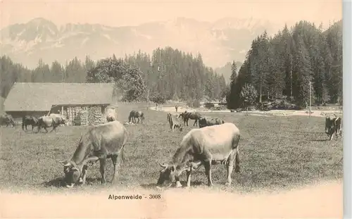 AK / Ansichtskarte  Landwirtschaft Alpenweide Kuhe