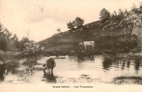 AK / Ansichtskarte  Landwirtschaft Grand Saleve Les Troupeaux Kuhe