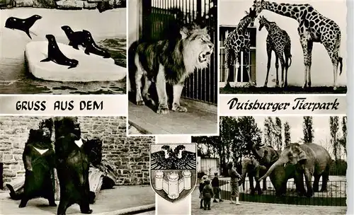 AK / Ansichtskarte 73936939 Zoo_Gardin_Zoologique-- Duisburger Tierpark Elefanten Girafen Loewe Baer 