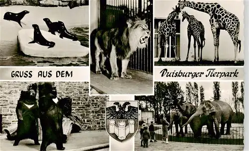 AK / Ansichtskarte  Zoo_Gardin_Zoologique-- Duisburger Tierpark Elefanten Girafen Loewe Baer 