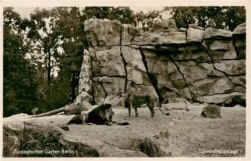 AK / Ansichtskarte  Zoo_Gardin_Zoologique-- Zoologischer Garten Berlin Loewenfreianlage