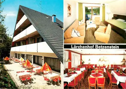 AK / Ansichtskarte  Betzenstein Hotel Restaurant Laerchenhof Terrasse Gastraum Zimmer