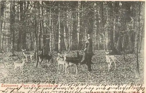 AK / Ansichtskarte  Lausanne_VD Parc de Sauvabelin