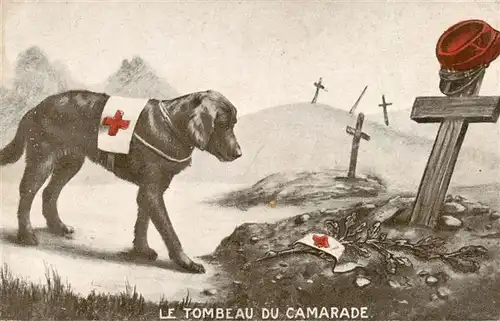 AK / Ansichtskarte 73937375 Hunde_dogs_chiens Tombeau du Camarade Kreuz Friedhof 
