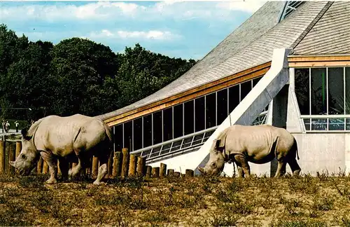 AK / Ansichtskarte  Nashorn Metro Toranto Zoo