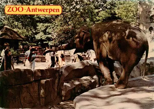 AK / Ansichtskarte 73937397 Elefant Zoo Antwerpen 