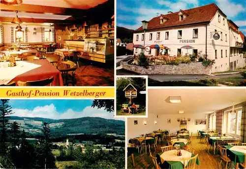 AK / Ansichtskarte  Miesenbach_Birkfeld Gasthof Pension Wetzelberger Gastraeume Panorama