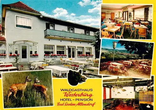 AK / Ansichtskarte  Bad_Sooden-Allendorf Waldgasthaus Westerburg Gastraeume Terrasse Rehe