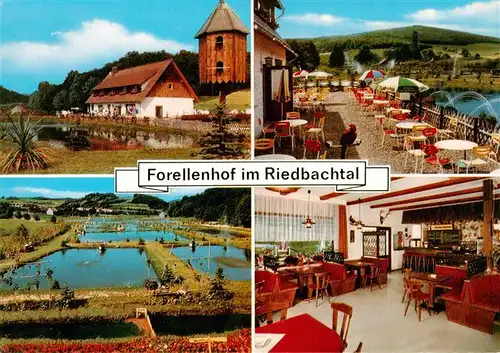 AK / Ansichtskarte 73937461 Hilgershausen_Witzenhausen Forellenhof im Riedbachtal Terrasse Gastraum Forellenteiche