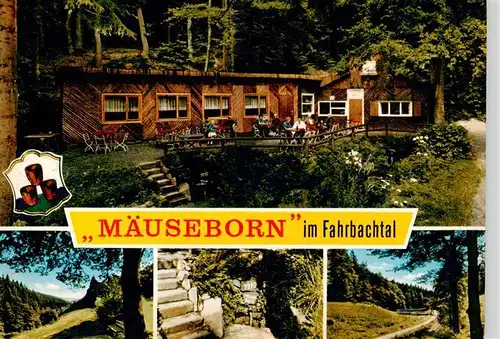 AK / Ansichtskarte  Grossalmerode Rasthaus Waldschloesschen am Maeuseborn Teilansichten