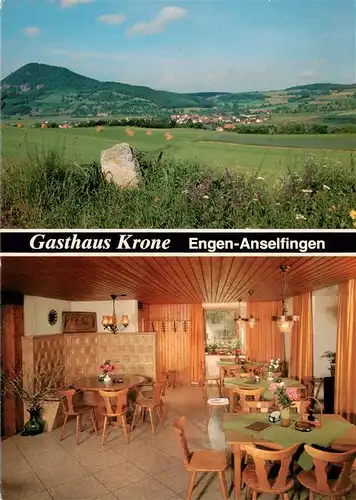 AK / Ansichtskarte  Anselfingen Gasthaus Krone Panorama