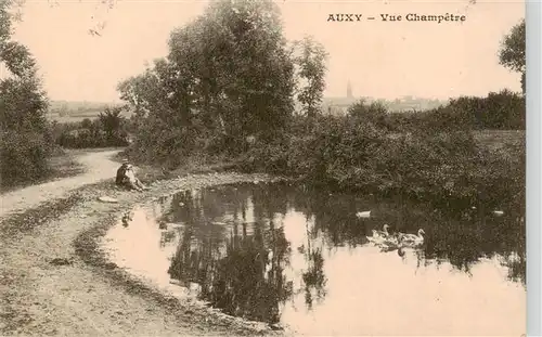 AK / Ansichtskarte  Auxy_71_Saone-et-Loire Vue Champêtre