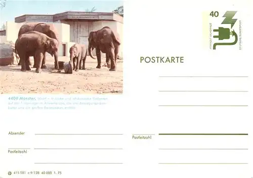 AK / Ansichtskarte 73938148 Elefant Muenster Indische Afrikanische 