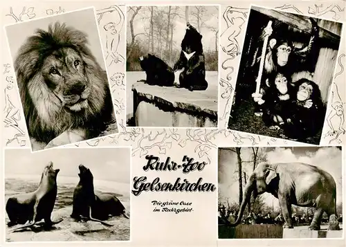 AK / Ansichtskarte 73938153 Zoo_Gardin_Zoologique-- Ruhr Gelsenkirchen Elefant Loewe Affe Baer 