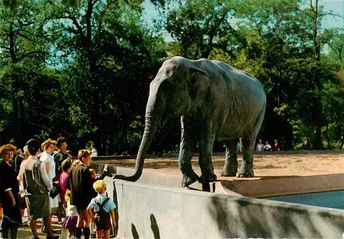 AK / Ansichtskarte  Elefant Ruhr-Zoo Gelsenkirchen