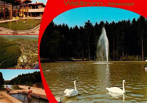 AK / Ansichtskarte  Waldbronn_Albtal Thermalbad Wassertreten Kurpark Schwanenteich Fontaene