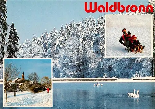 AK / Ansichtskarte  Waldbronn_Albtal Winteridyll Kirche Schwanenteich