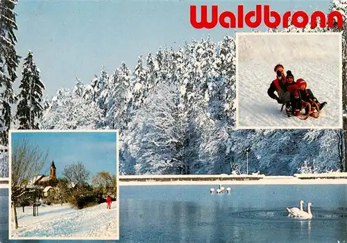 AK / Ansichtskarte  Waldbronn_Albtal Winteridyll Kirche Schwanenteich