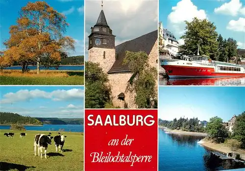 AK / Ansichtskarte  Saalburg_Saale_Thueringen Platte bei Kloster Ev Marienkirche Anlegestelle mit Hotel Kranich Talsperre Bootsverleih mit Schule