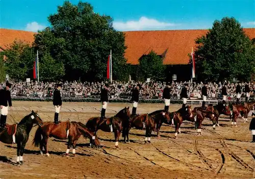 AK / Ansichtskarte 73938735 Warendorf Hengstparade Nordrhein-Westfaelisches Landgestuet