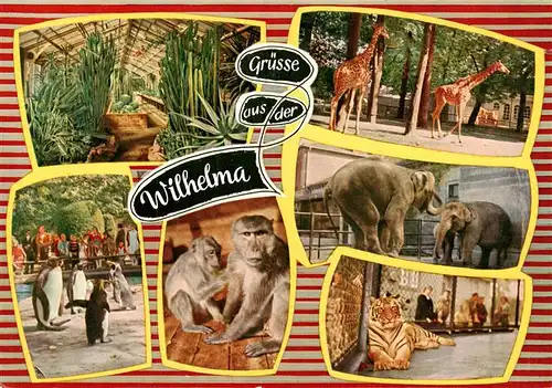 AK / Ansichtskarte 73939153 Zoo_Gardin_Zoologique-- Stuttgart-Bad Cannstatt Wilhelma Affen Tieger Elefanten Girafen 