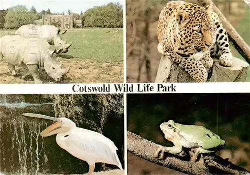 AK / Ansichtskarte  Zoo_Gardin_Zoologique-- Cotswold Wild Life Park Leopard Pelican Frog Burford Oxford 