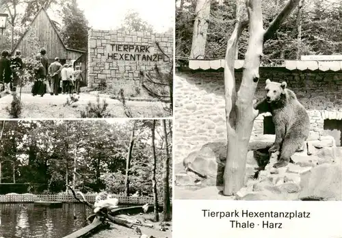 AK / Ansichtskarte  Zoo_Gardin_Zoologique-- Thale Harz Hexentanzplatz Baer 