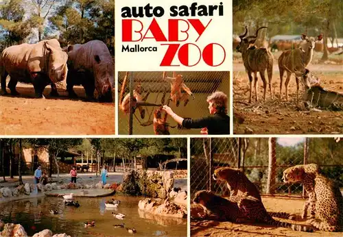 AK / Ansichtskarte  Zoo_Gardin_Zoologique-- Auto Safari Ruhe Mallorca Baby Zoo 