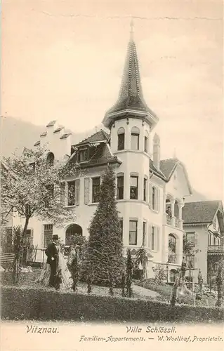 AK / Ansichtskarte  Vitznau_Witznau_Vierwaldstaettersee_LU Villa Schloessli