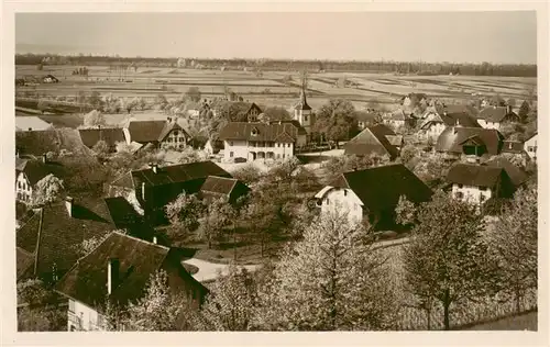 AK / Ansichtskarte  Gampelen_BE Panorama