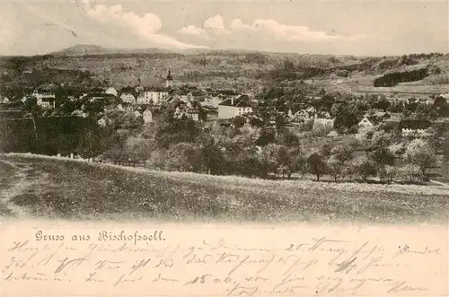 AK / Ansichtskarte  Bischofszell_TG Panorama