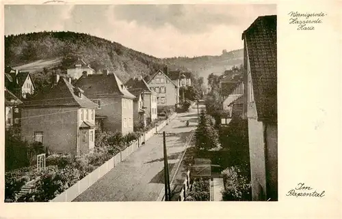 AK / Ansichtskarte  Wernigerode_Harz Im Papental