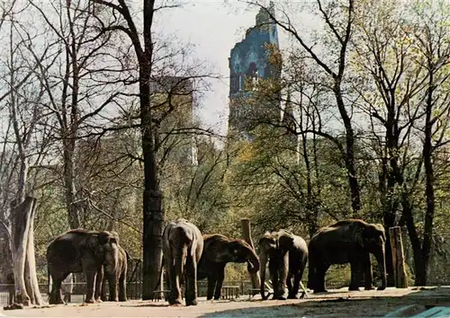 AK / Ansichtskarte  Zoo_Gardin_Zoologique-- Berlin Elefanten 