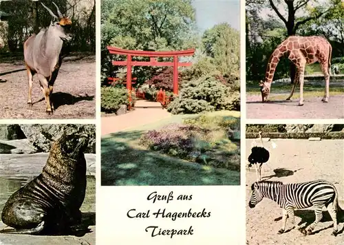 AK / Ansichtskarte 73940118 Zoo_Gardin_Zoologique-- Carl Hagenbeck Hamburg Stellingen Zebra Giraffe Seloewe 