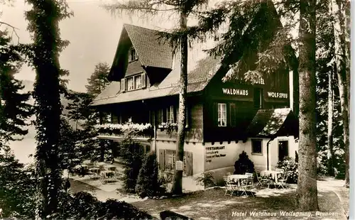 AK / Ansichtskarte  Brunnen__SZ Hotel Waldhaus Wolfsprung