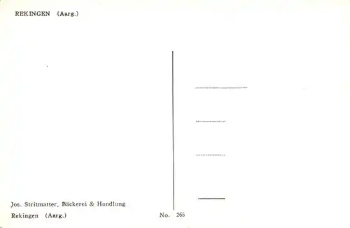 AK / Ansichtskarte  Rekingen_AG Panorama