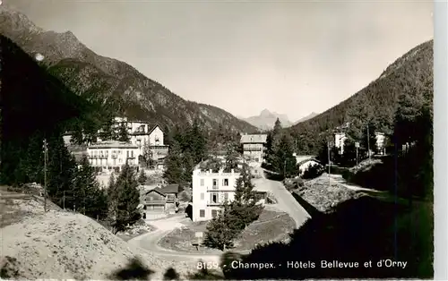 AK / Ansichtskarte  Champex_Lac_VS Hotels Bellevue et d'Orny