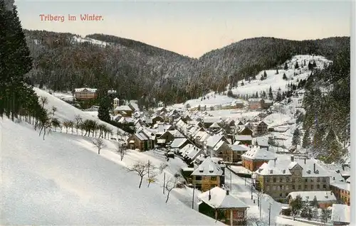 AK / Ansichtskarte  Triberg Winterpanorama