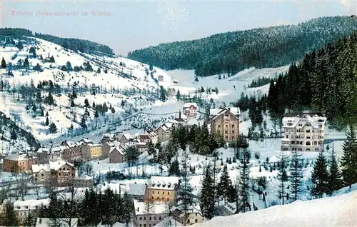 AK / Ansichtskarte  Triberg Winterpanorama