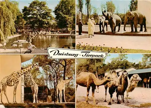 AK / Ansichtskarte 73940483 Zoo_Gardin_Zoologique-- Duisburg Elefant Giraffe 