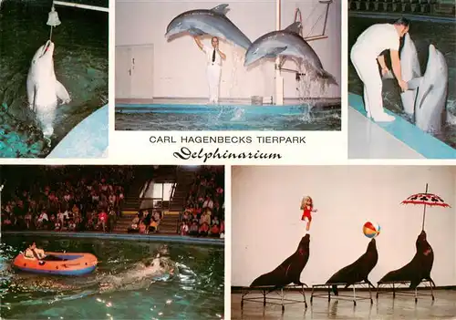 AK / Ansichtskarte 73940485 Delphine_Dolphins_Dauphins_Delfines Carl Hagenbecks Tierpark 