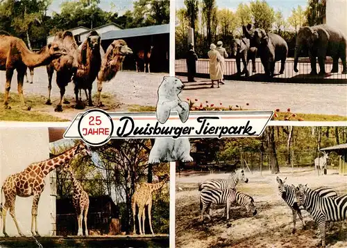 AK / Ansichtskarte  Zoo_Gardin_Zoologique-- Duisburg Kamel Zebra Giraffe Elefant