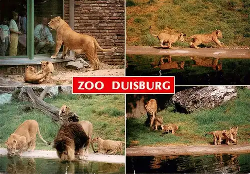 AK / Ansichtskarte  Loewe_Lion-- Familie Duisburg